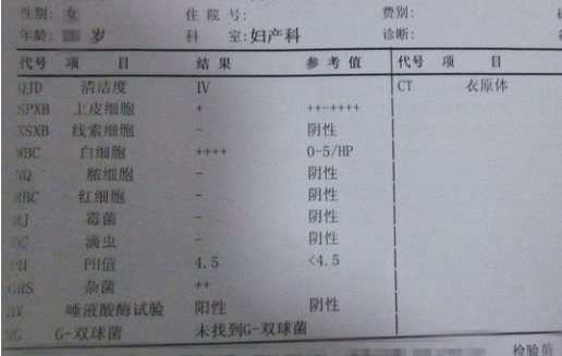 白带常规检测仪厂家 白带常规检测仪厂家