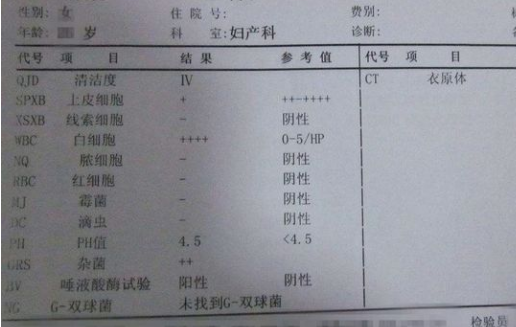 白带常规检测仪厂家