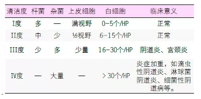 GK全自动阴道分泌物检测仪品牌 GK全自动阴道分泌物检测仪厂家