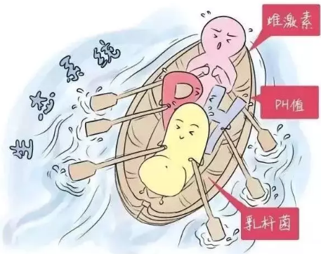 阴道分泌物检测仪厂家 妇科知识:阴道分泌物检测仪厂家如何进行妇科检查,结果如何伴读呢