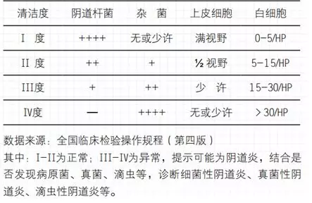 全自动阴道分泌物检测仪品牌