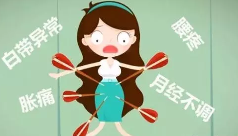 全自动阴道分泌物检测仪品牌