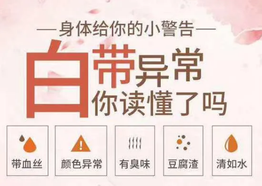 全自动白带分析仪 全自动白带分析仪有哪些品牌?女性白带健康预警你了解吗?