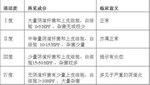 GK-D白带常规分析仪厂家正常妇科白带化验单5项常规检查