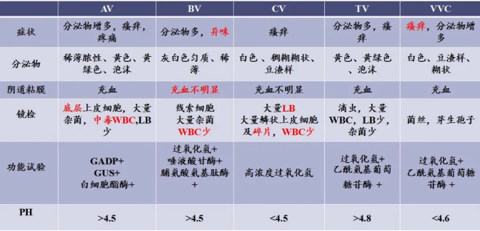 全自动白带分析仪器 专为妇科检测打造全自动白带分析仪器妇科炎症检测的必备设备