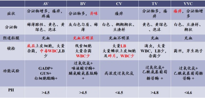 专为妇科检测打造全自动白带分析仪器妇科炎症检测的必备设备